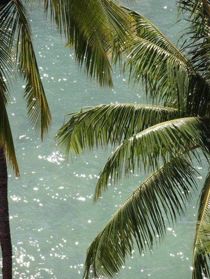 LoiSaPR oceanfront stays in Loíza